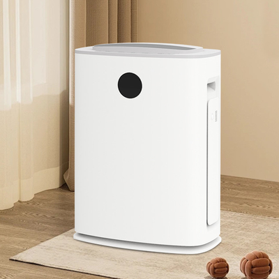 Phân tử khói phấn hoa Khí lọc không khí ẩm ướt khử ẩm 2 In 1 750W